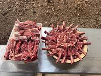 مینڈھا, Rhon sheep — تصویر 6