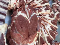 مینڈھا, Rhon sheep — تصویر 5