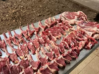 مینڈھا, Rhon sheep — تصویر 7