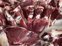 مینڈھا, بھیڑیں — تصویر 6