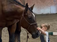 گھوڑی, Quarter Horse — تصویر 4