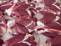 مینڈھا, Rhon sheep — تصویر 5