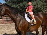 گھوڑی, Quarter Horse — تصویر 7