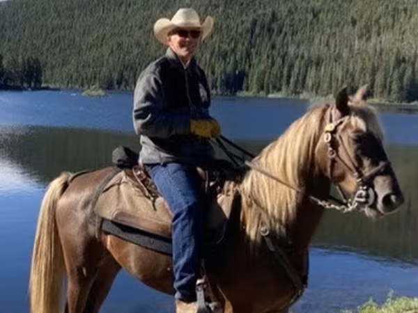 گھوڑا, Rocky Mountain Horse