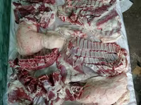 مینڈھا, Rhon sheep — تصویر 2