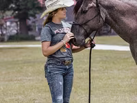 گھوڑا, Quarter Horse — تصویر 5